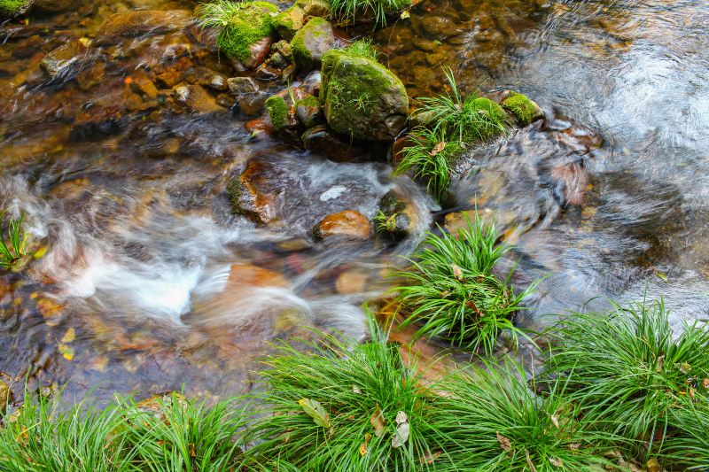 Xianren Brook