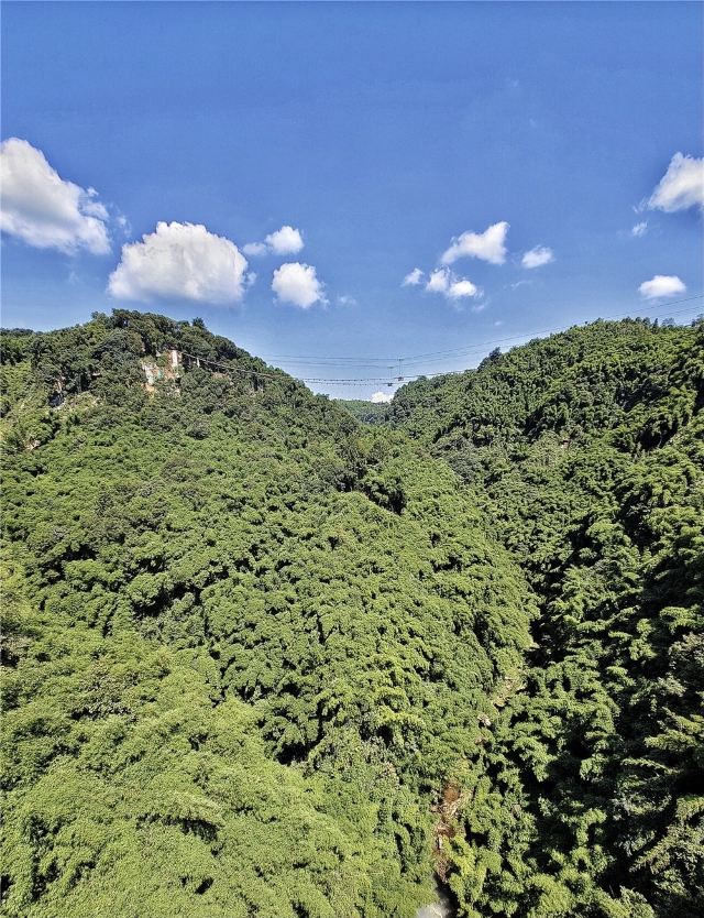 Bamboo Canyon Scenic Area (Jinji Valley)