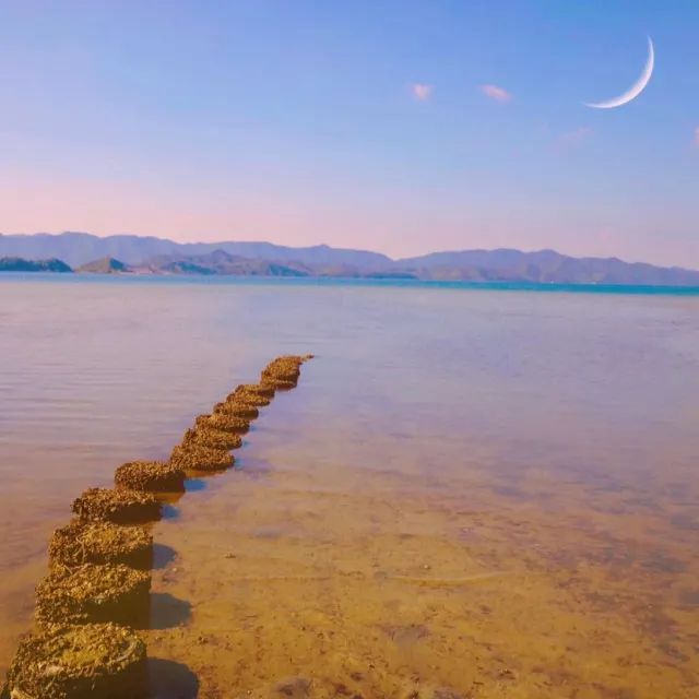 【2026摸蜆攻略】摸蜆季節、3大摸蜆地點推薦！（附摸蜆教學和工具）