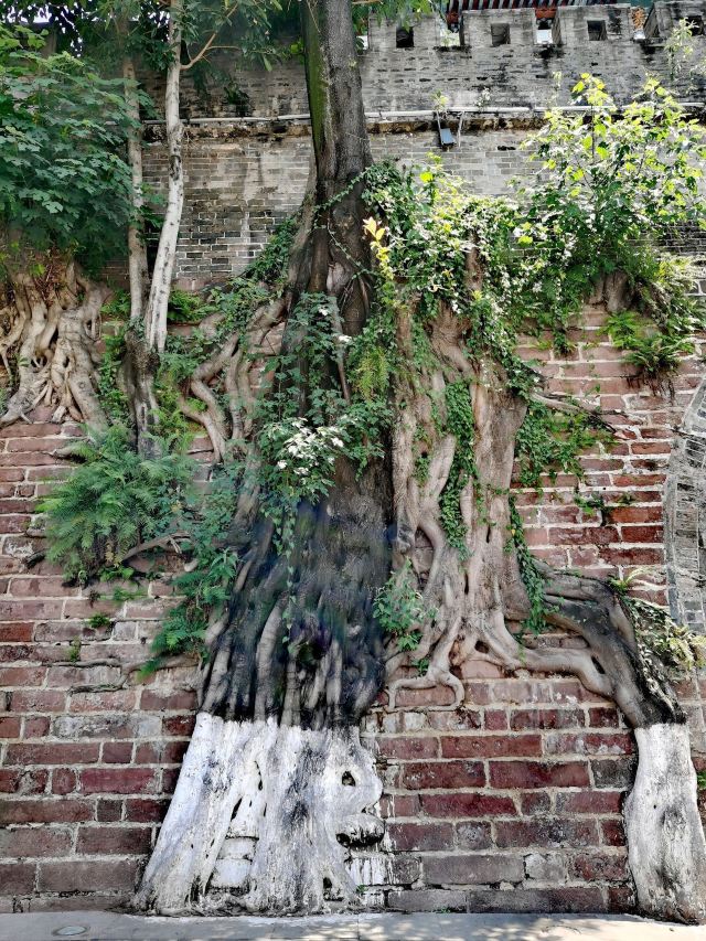 Xichang Ancient Town
