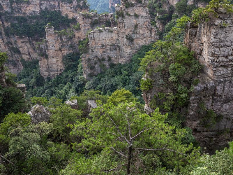 Yangjiajie Cableway