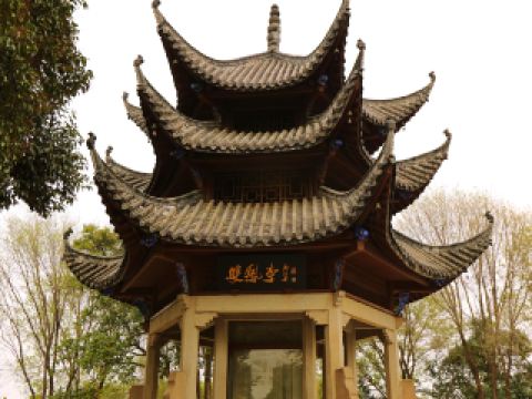 從台北直飛武漢航班