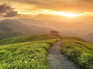 南丹縣雲觀天旅遊景區