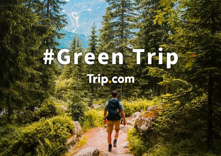 Simple ways to be a green traveler