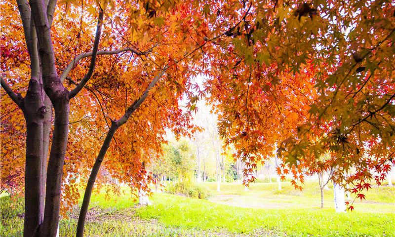 ZhangjiagangFood & drink