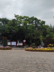위허 광장