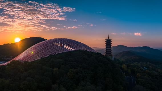 封頂 9 人精緻團丨牛首山文化旅遊區+中山陵景區+梧桐道+美齡宮1日