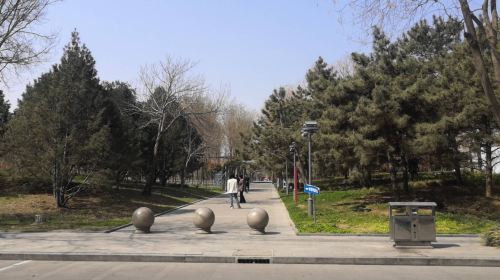 People's Park