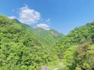 Shuizhuwan Forest Park