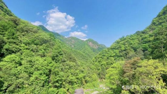 水竹灣森林公園