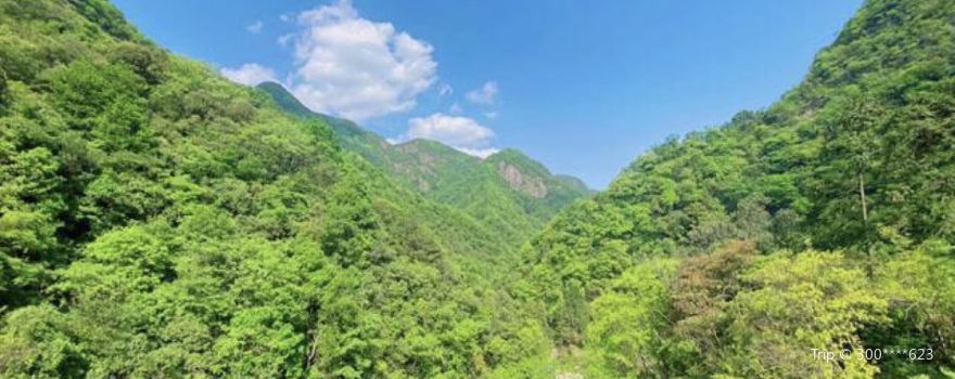 Shuizhuwan Forest Park