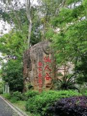 三明仙人谷国家森林公園