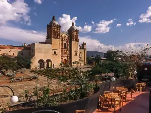 Cobarde Oaxaca