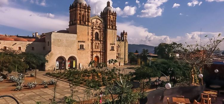 Cobarde Oaxaca