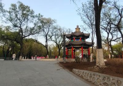 Liaoyuan Longshou Mountain