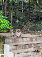 Shikharachandi Hill Forest