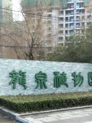 Longquan Botanical Garden