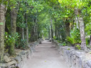備瀨福樹林