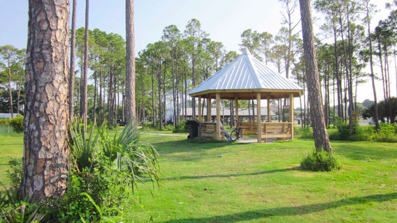 Liza Jackson Park