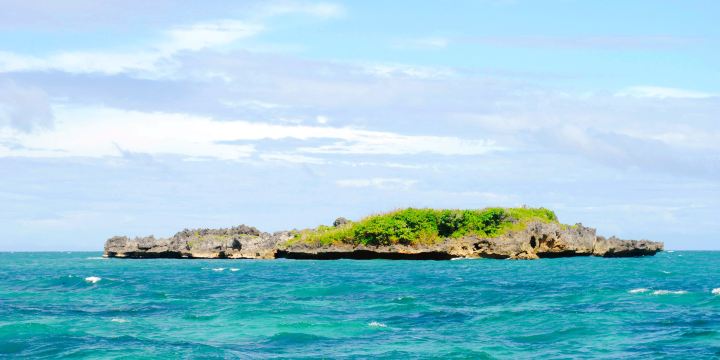 Crocodile Island