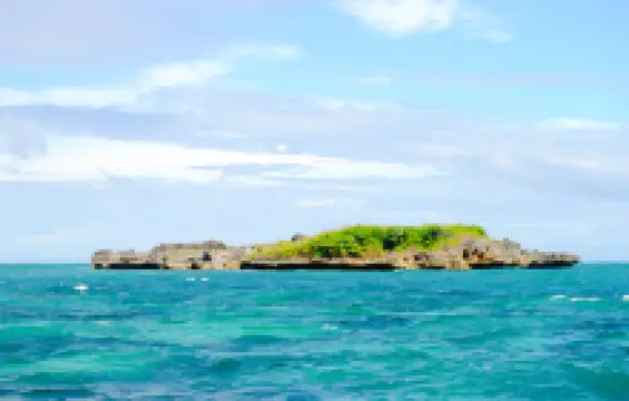 Crocodile Island