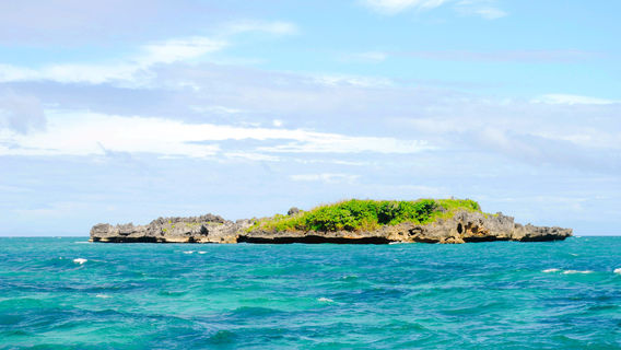 Crocodile Island