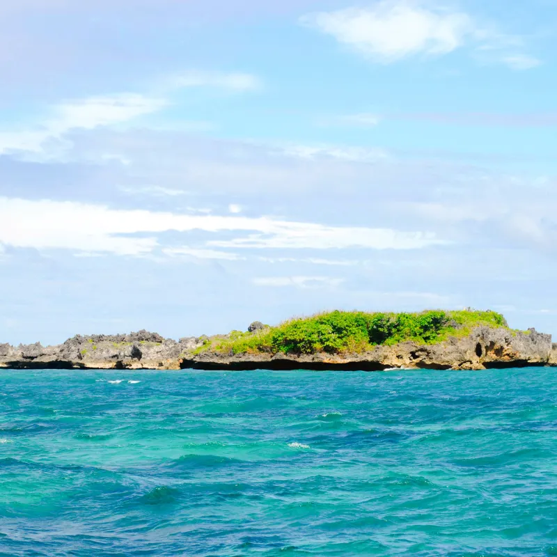 鱷魚島