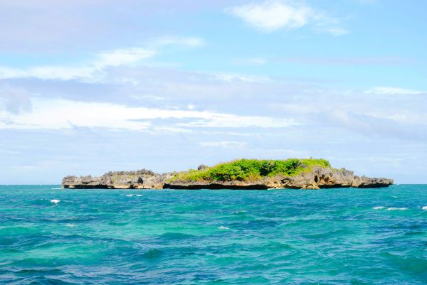 Crocodile Island