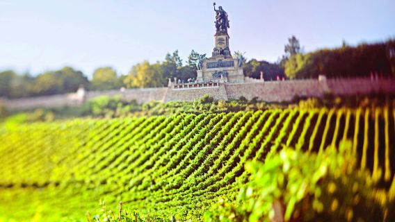 Niederwald Monument