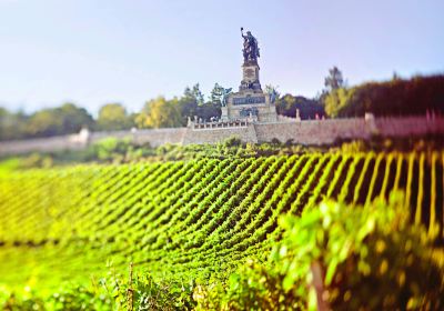 Rüdesheim am Rhein