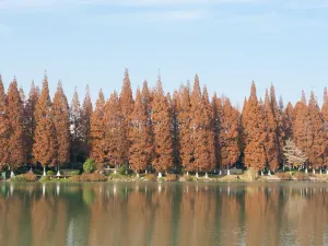 Xiangyang Ancient City