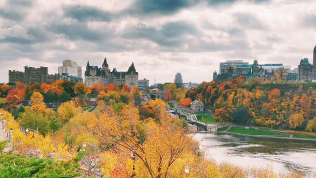 Maple Leaf Viewing in Ottawa