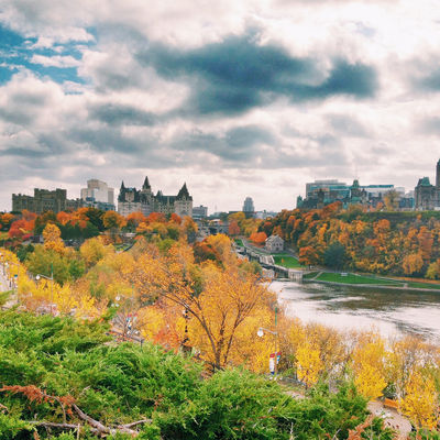 Ammirare le foglie d'acero a Ottawa