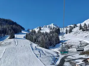Bergbahnen Fieberbrunn