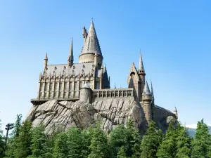 The Wizarding World Of Harry Potter
