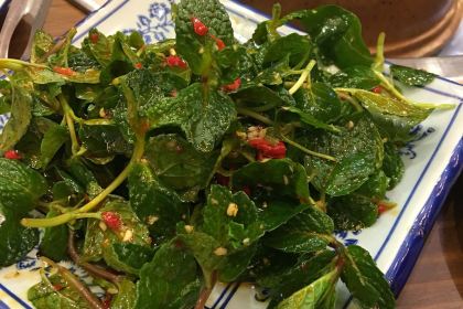 CHUN GENG YE CAI GUAN