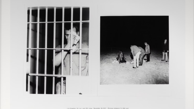 Charles Gaines: Night/Crimes | The Art Institute of Chicago