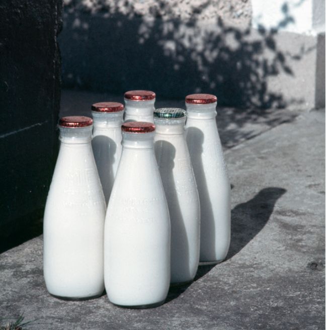 Akihiko Okamura: The Memories of Others | Ulster Museum