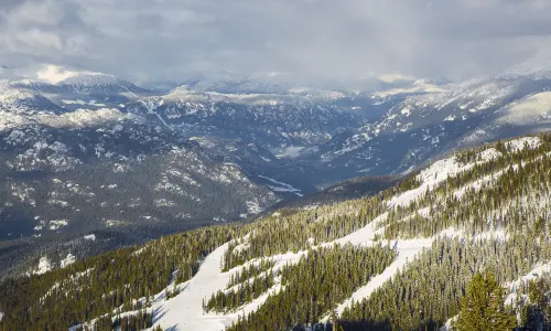 Whistler Mountain