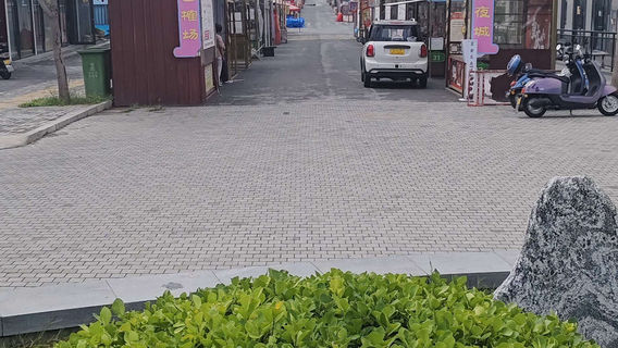 song jin bu ye cheng