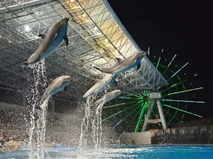 Top 10 Night Attractions in Aichi Prefecture