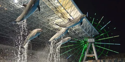 名古屋港水族館