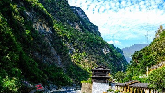 Shennong Stream