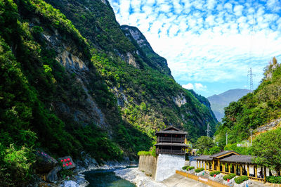 Shennong Stream