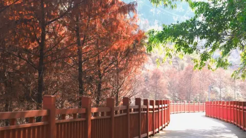 翠屏湖 attraction in 寧德