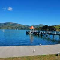 Akaroa