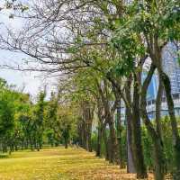 Cool place to get away from Bangkok rush