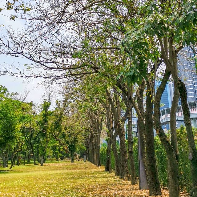 Cool place to get away from Bangkok rush