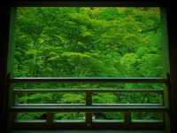 貴船神社、再び