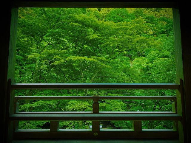 貴船神社、再び